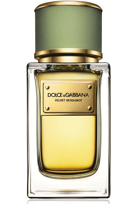 dolce gabbana new fragrance